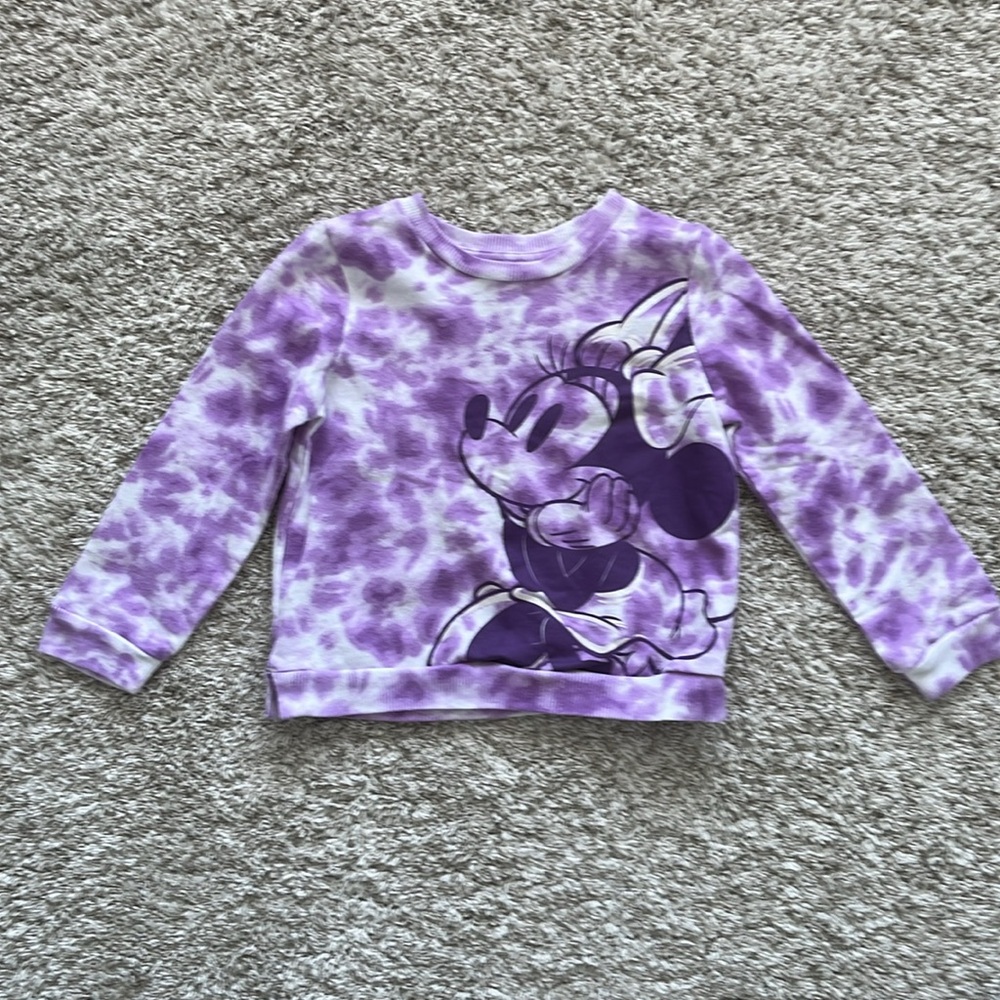 Toddler Girls Minnie Mouse bundle. Size 4t - Picture 6 of 7